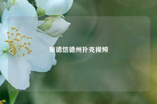 原德信德州扑克视频