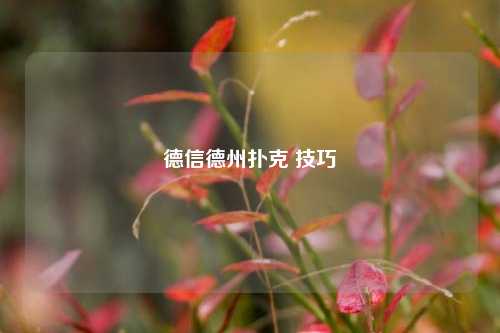 德信德州扑克 技巧
