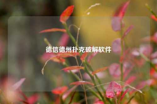 德信德州扑克破解软件