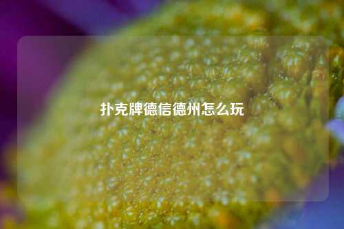 扑克牌德信德州怎么玩