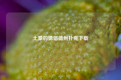 土豪的德信德州扑克下载