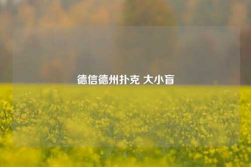 德信德州扑克 大小盲
