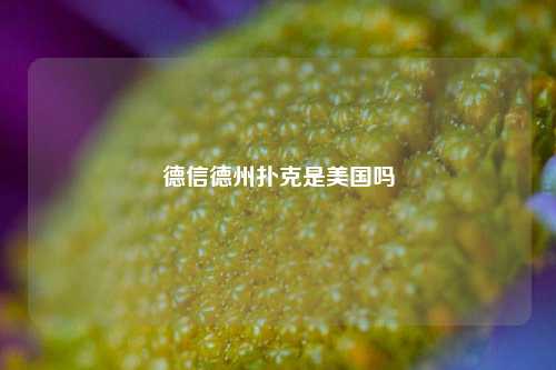 德信德州扑克是美国吗