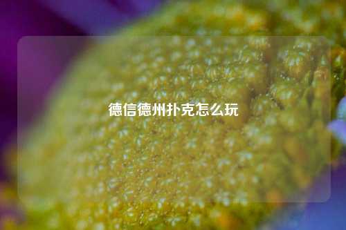 德信德州扑克怎么玩