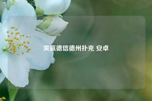 爽赢德信德州扑克 安卓