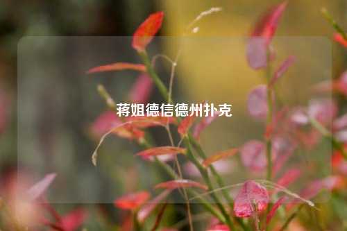 蒋姐德信德州扑克