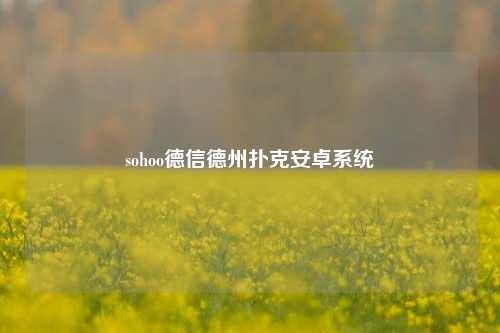 sohoo德信德州扑克安卓系统