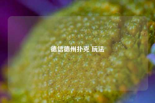 德信德州扑克 玩法