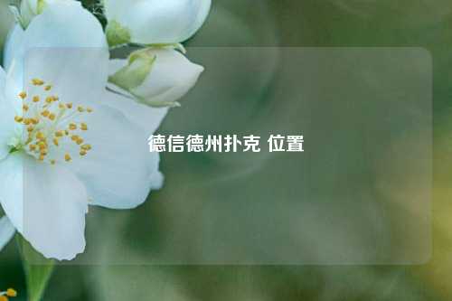 德信德州扑克 位置