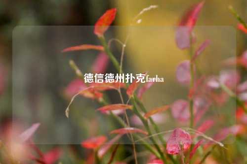 德信德州扑克farha