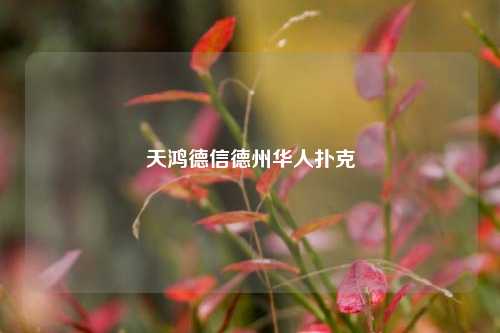 天鸿德信德州华人扑克