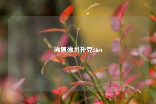 德信德州扑克5bet