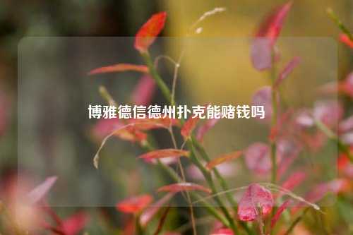 博雅德信德州扑克能赌钱吗