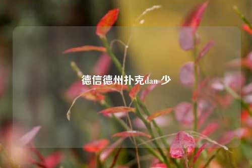 德信德州扑克dan 少