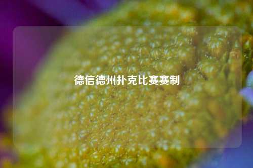 德信德州扑克比赛赛制