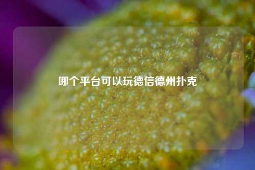 哪个平台可以玩德信德州扑克