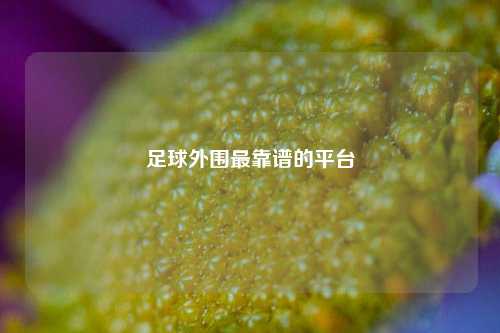 足球外围最靠谱的平台