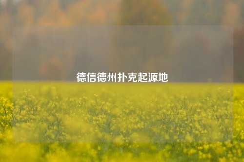 德信德州扑克起源地