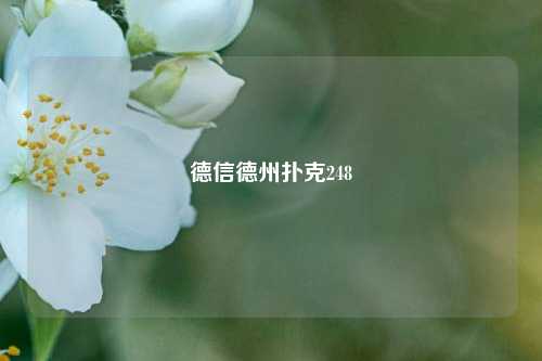 德信德州扑克248