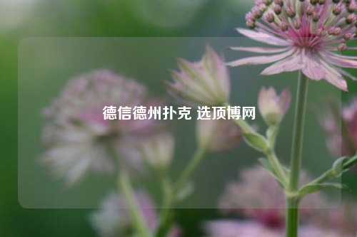 德信德州扑克 选顶博网
