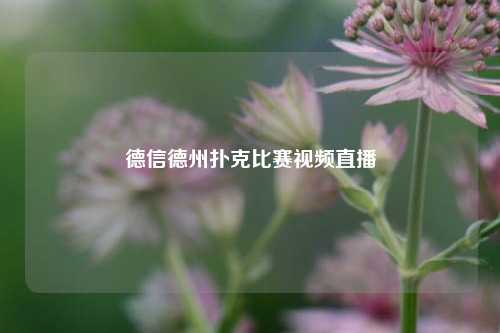 德信德州扑克比赛视频直播