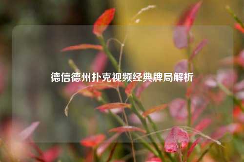 德信德州扑克视频经典牌局解析