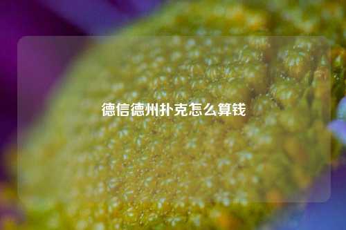德信德州扑克怎么算钱